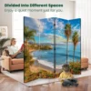 Chinese Screen Canvas Room Divider Pacific